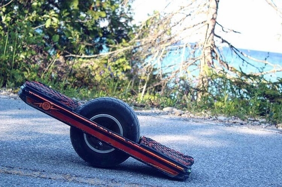 監視柵が付いている10.5Ah 700W 1の車輪の手動スケートボード